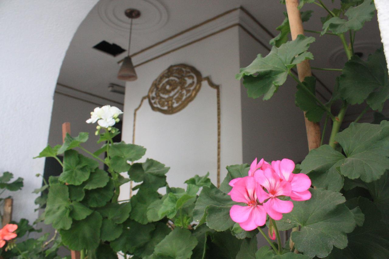 Casa De La Luna Meksika Dış mekan fotoğraf